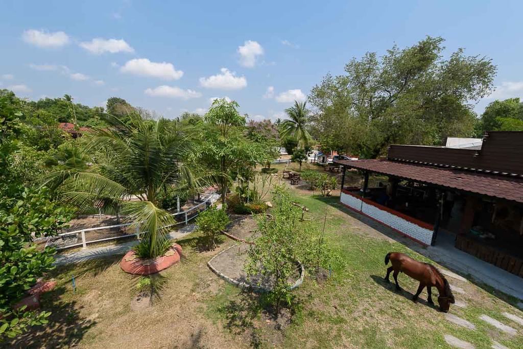 Ban Huai Yai Cowboy Farm Resort Pattaya מראה חיצוני תמונה